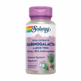 Solaray Arabinogalactan, 60 vegetarian capsules